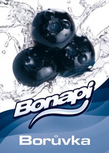 Bonapi BORŮVKA -  točené limonády post-mix (10l kanystr)
