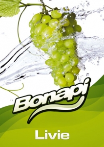 Bonapi LIVIE - točené limonády post-mix (10l kanystr)